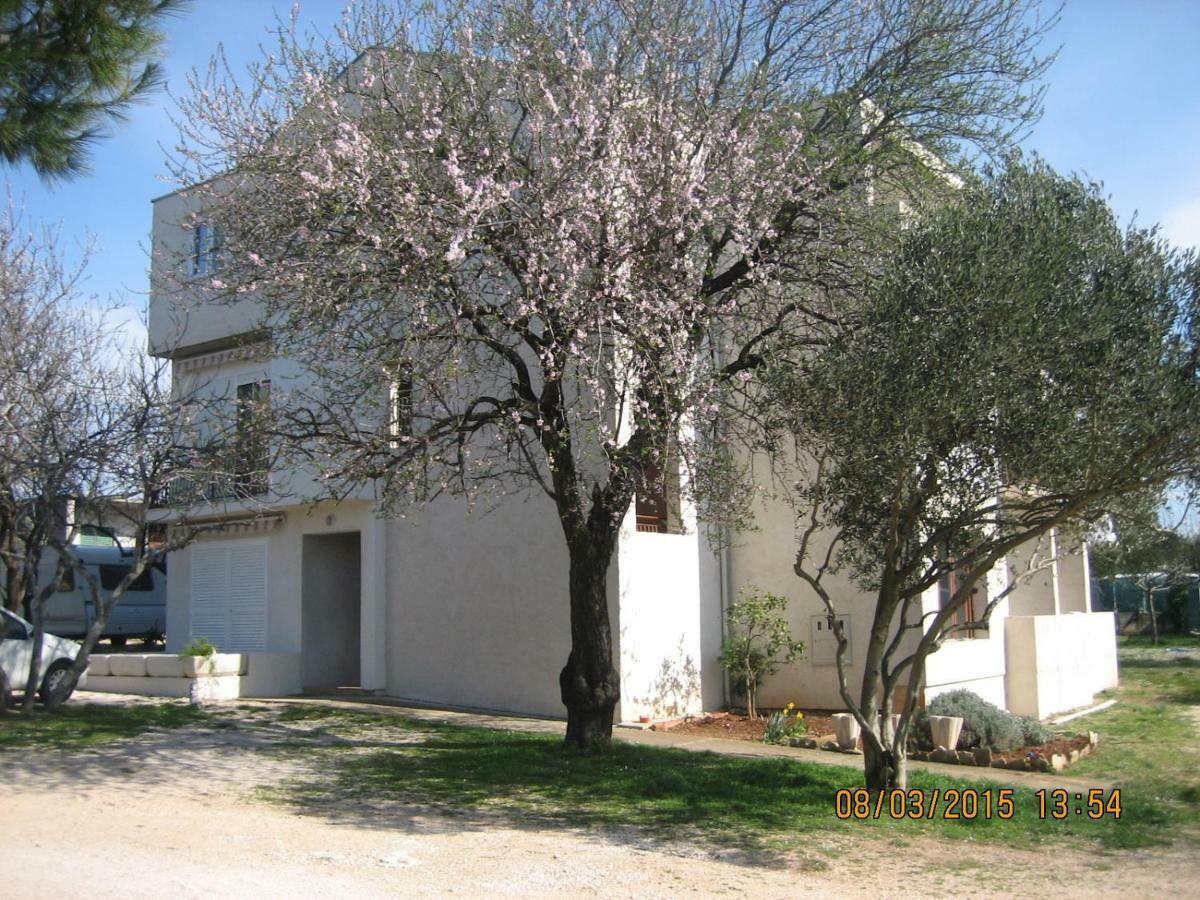 Crancina Appartement Sveti Filip i Jakov Buitenkant foto